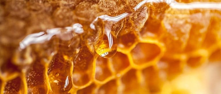 HONEY RECIPES FOR HEPATITIS