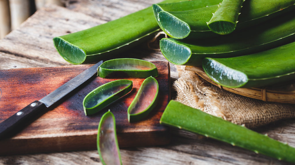 herbal medicines for adenomyosis aloe vera