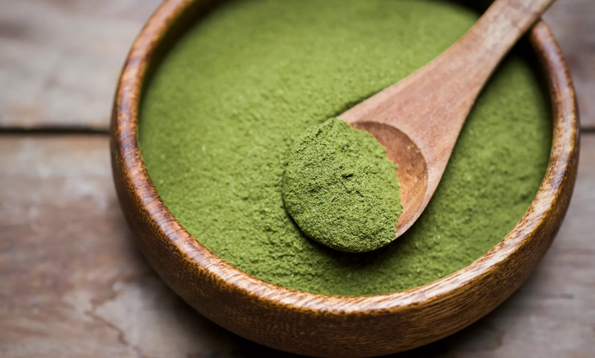 moringa sur l'hepatite b