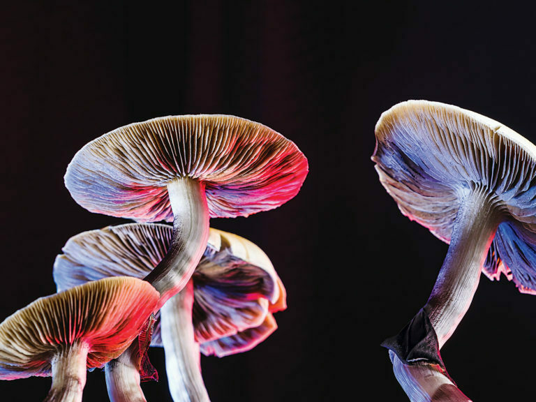 Can magic mushroom treat anxiety and depression?