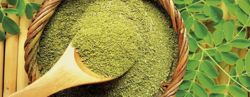 Best Moringa Supplements