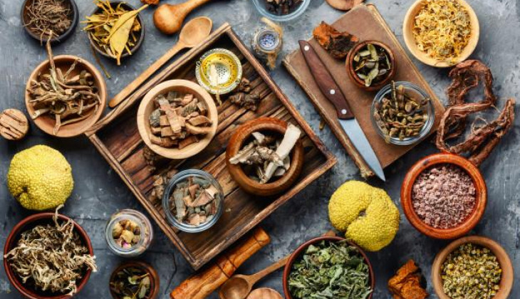 “Herbs that heal: 5 of the best Immune Boosting Herbs you should know about”