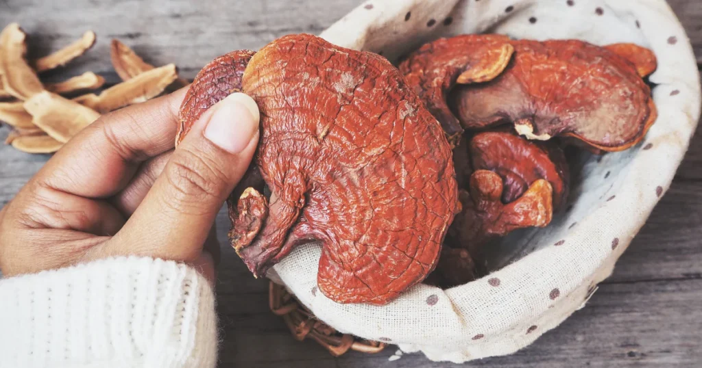 Reishi mushroom benefits 4 1200x