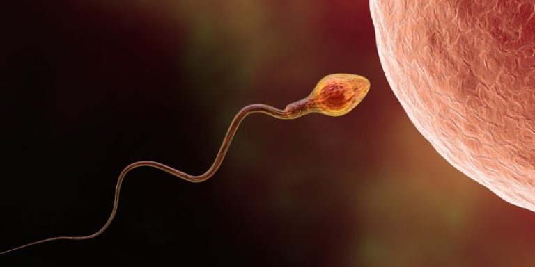 Oligospermia Treatment Home Remedies: Best ways to boost sperm count naturally