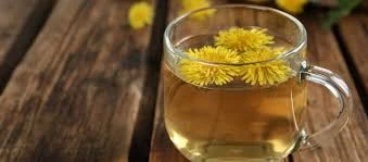 dandelion tea for fibroid