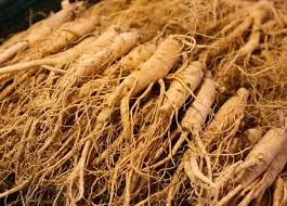 ginseng remedy and benefits for male fertility