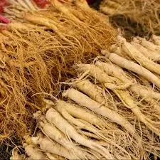 Ginseng Remedy and Benefits for Male Fertility