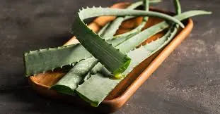 How to Use Aloe Vera for Eczema and Acne