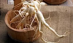 ginseng remedy and benefits for male fertility