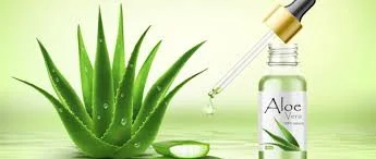 How to Use Aloe Vera for Eczema and Acne