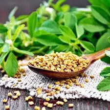 herbs for heart health and cholesterol support