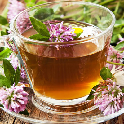 red clover supplement